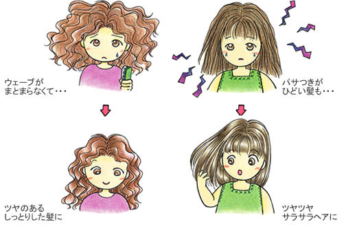 �w�A�P�A�C���[�W