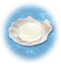 �{�w�~�A�� ���C�X�`���A�\�[�v